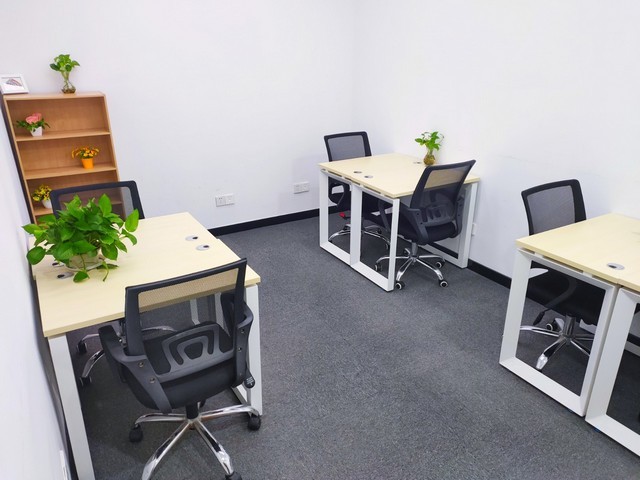 上海大型一号红龙哪家好